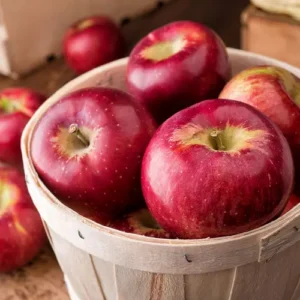 Premium Fresh Apples