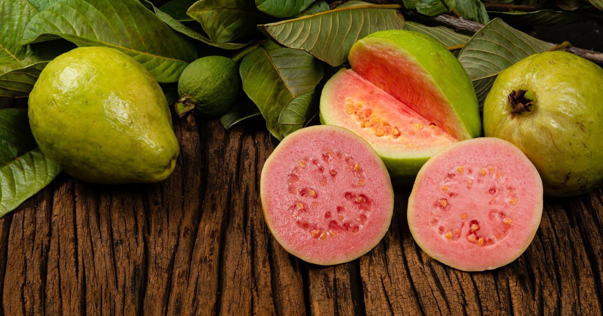 Guava